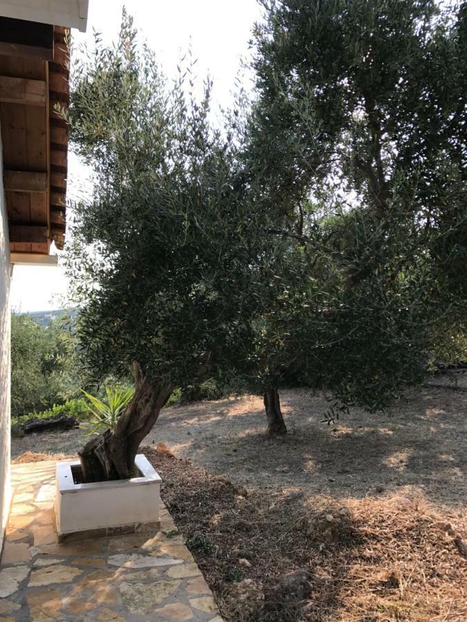 Ferienhaus Olive Garden Kyparissia Ngoại thất bức ảnh