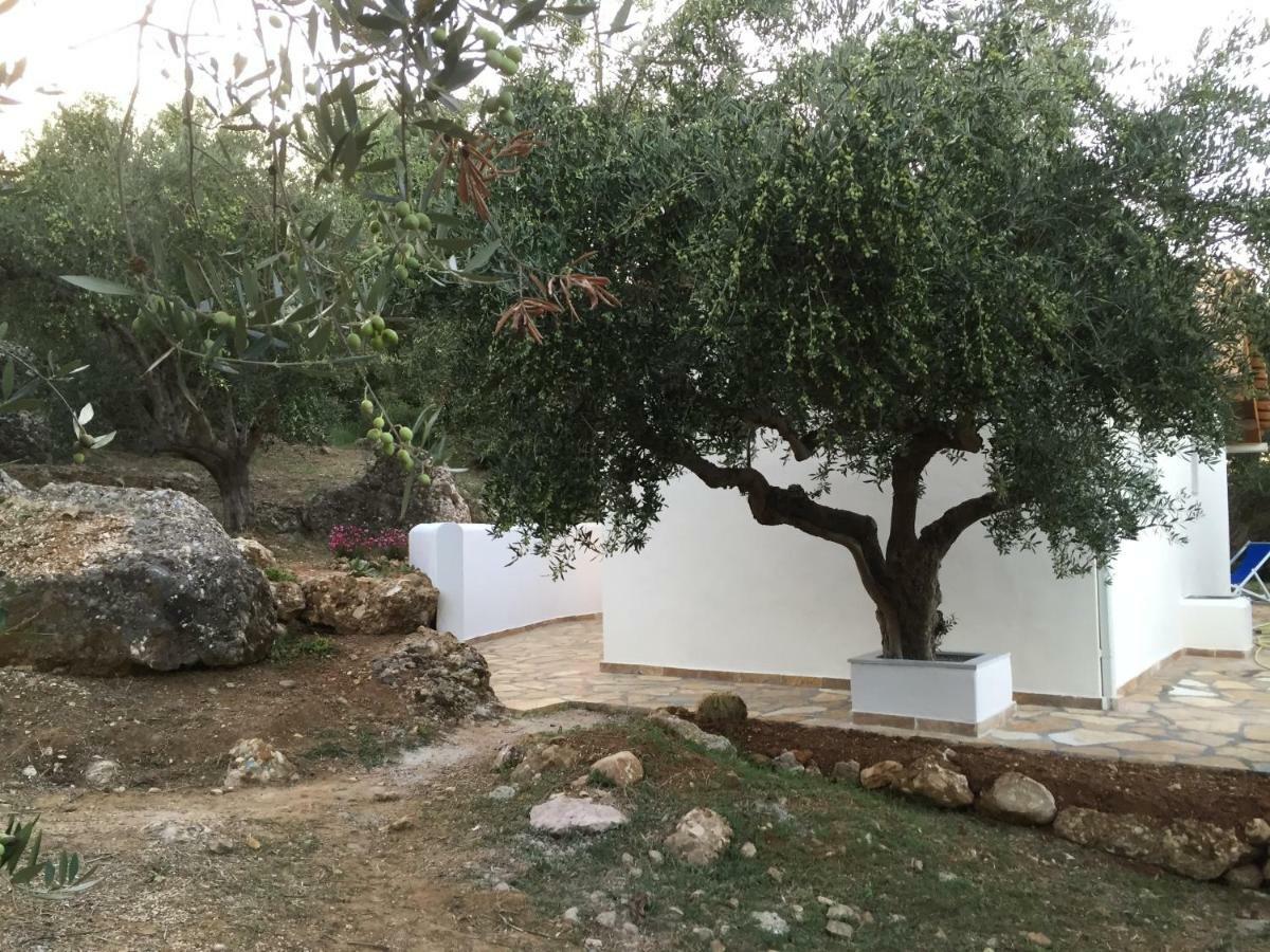 Ferienhaus Olive Garden Kyparissia Ngoại thất bức ảnh