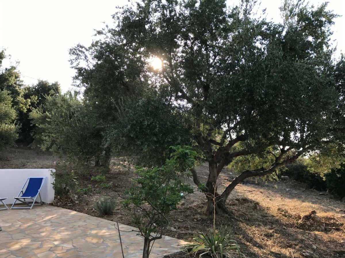 Ferienhaus Olive Garden Kyparissia Ngoại thất bức ảnh
